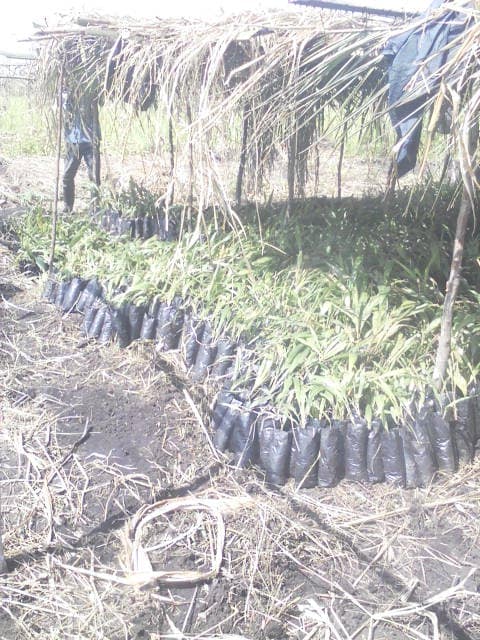 WhatsApp Image 2024-04-25 at 12.56.26_08be9b52