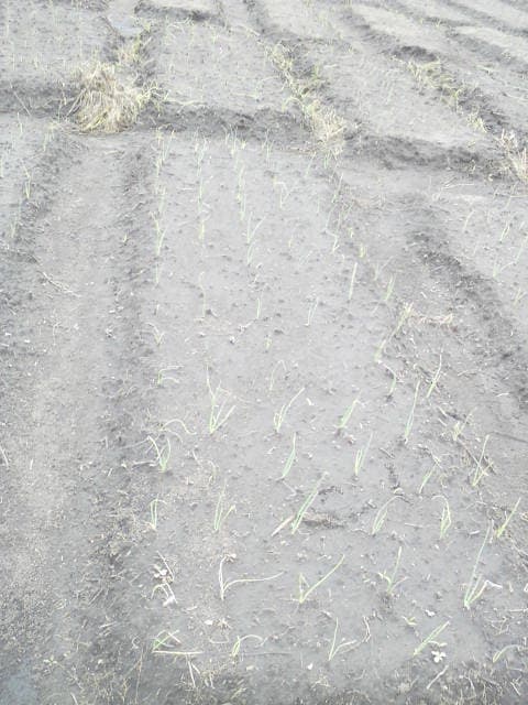 WhatsApp Image 2024-04-25 at 12.56.28_cc2eb691