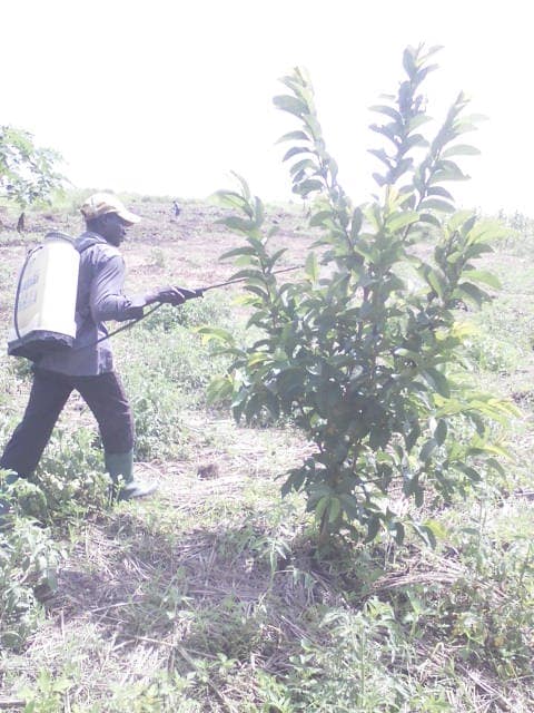 WhatsApp Image 2024-04-25 at 12.56.29_1fc6a553