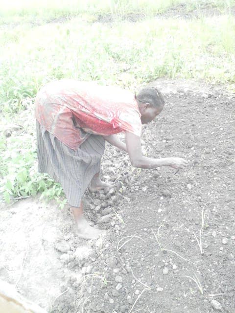 WhatsApp Image 2024-04-25 at 12.56.30_5306f4c3