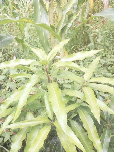 Protection de l’environnelent