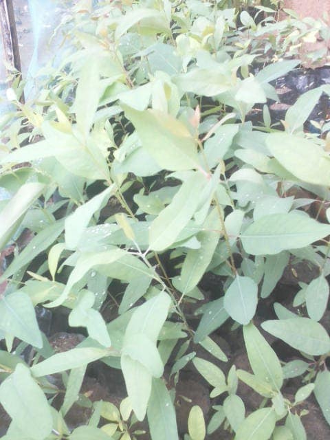 WhatsApp Image 2024-04-25 at 12.56.31_0a564493