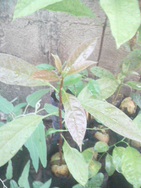 WhatsApp Image 2024-04-25 at 12.56.31_8058d7ab