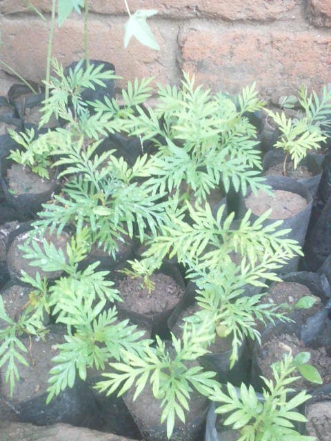 WhatsApp Image 2024-04-25 at 12.56.32_467d5bbf