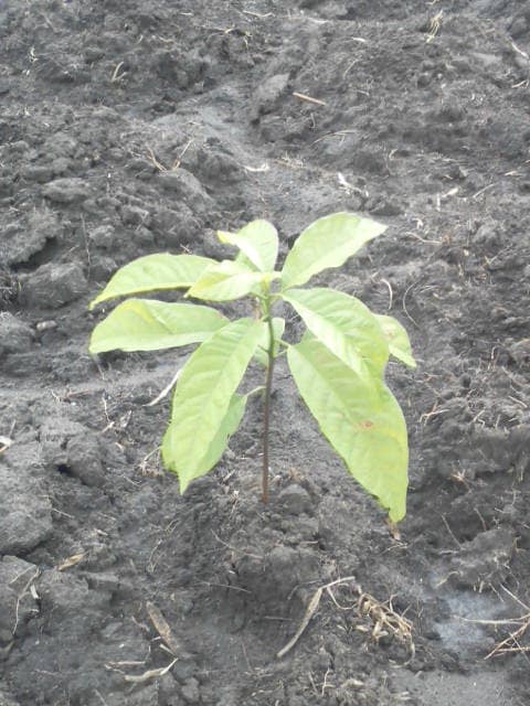 WhatsApp Image 2024-04-25 at 12.56.32_4e9a409f