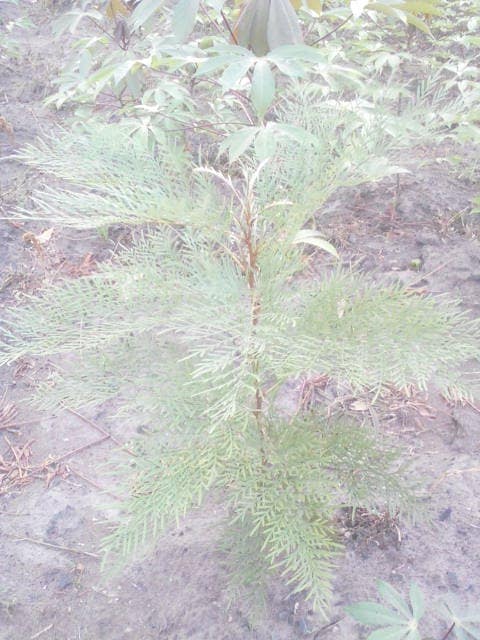 WhatsApp Image 2024-04-25 at 12.56.33_7fa20fb4