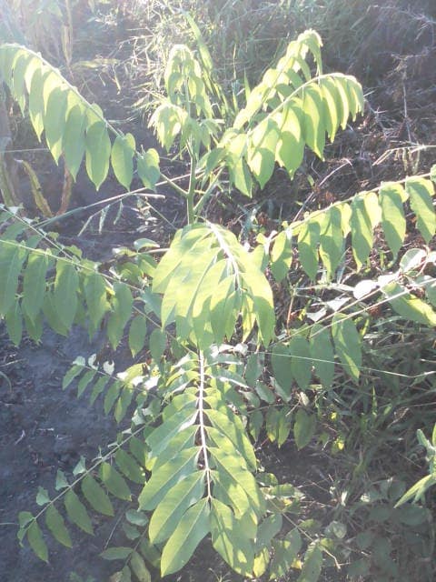 WhatsApp Image 2024-04-25 at 12.56.34_3d6e3264