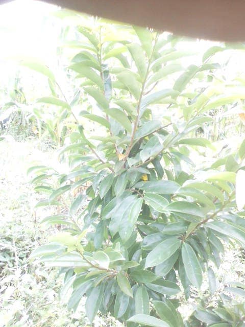 WhatsApp Image 2024-04-25 at 12.56.34_e65950c7