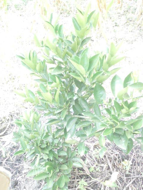 WhatsApp Image 2024-04-25 at 12.56.35_ef802462