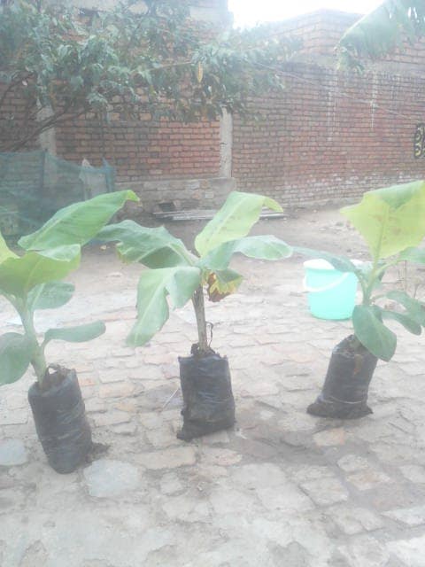 WhatsApp Image 2024-04-25 at 12.56.37_d3abb6b1