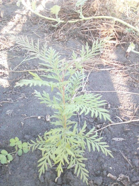 WhatsApp Image 2024-04-25 at 12.56.38_e0cdcacc