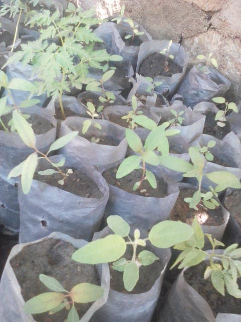 WhatsApp Image 2024-04-25 at 12.56.39_f6acf8e0