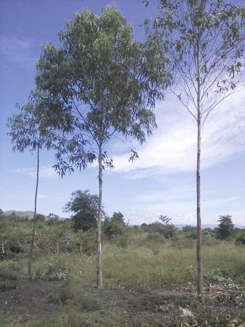 WhatsApp Image 2024-04-25 at 12.56.40_05caf681