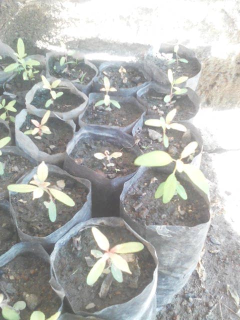 WhatsApp Image 2024-04-25 at 12.56.41_178226d6