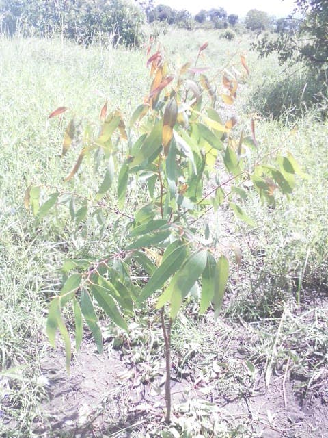 WhatsApp Image 2024-04-25 at 12.56.41_9880abf3