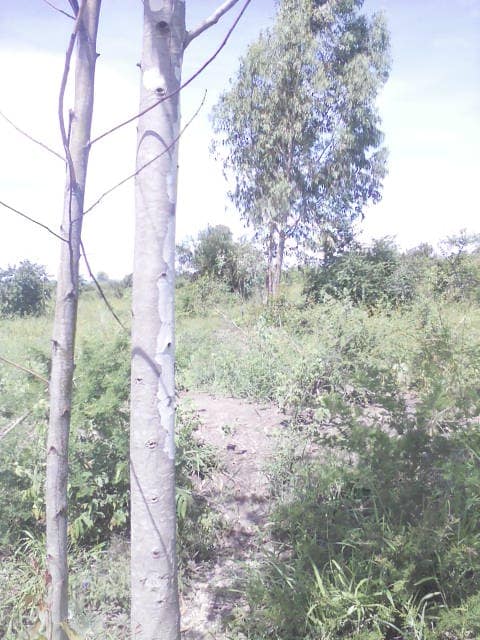 WhatsApp Image 2024-04-25 at 12.56.42_a99b77e2