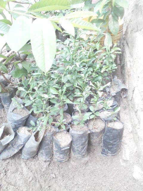 WhatsApp Image 2024-04-25 at 12.56.42_edfef323