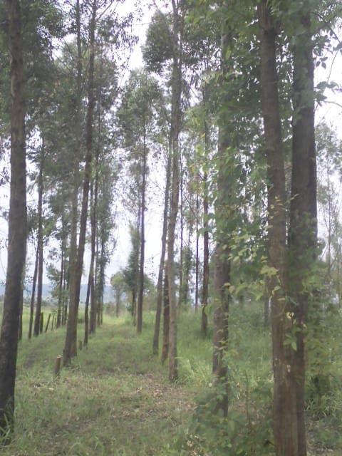 WhatsApp Image 2024-04-25 at 12.56.43_08bc9860