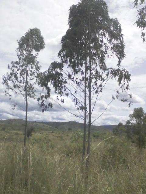 WhatsApp Image 2024-04-25 at 12.56.43_a34184fe