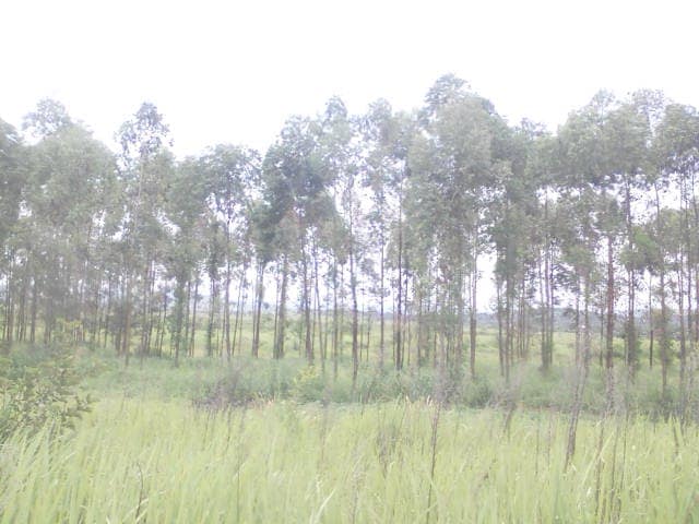 WhatsApp Image 2024-04-25 at 12.56.44_1d65aae0