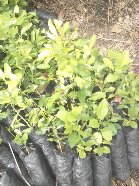 WhatsApp Image 2024-04-25 at 12.56.45_047c0bb1