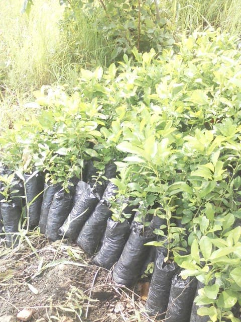 WhatsApp Image 2024-04-25 at 12.56.45_dd2a4d58