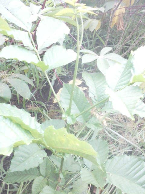 WhatsApp Image 2024-04-25 at 13.00.47_9af6e522