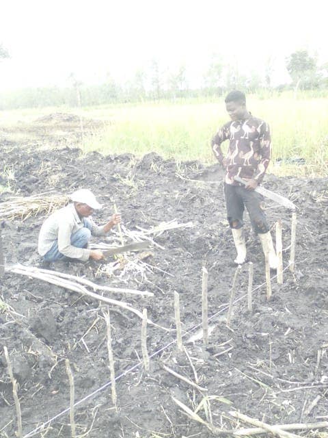 WhatsApp Image 2024-04-25 at 13.00.47_be0bcda0