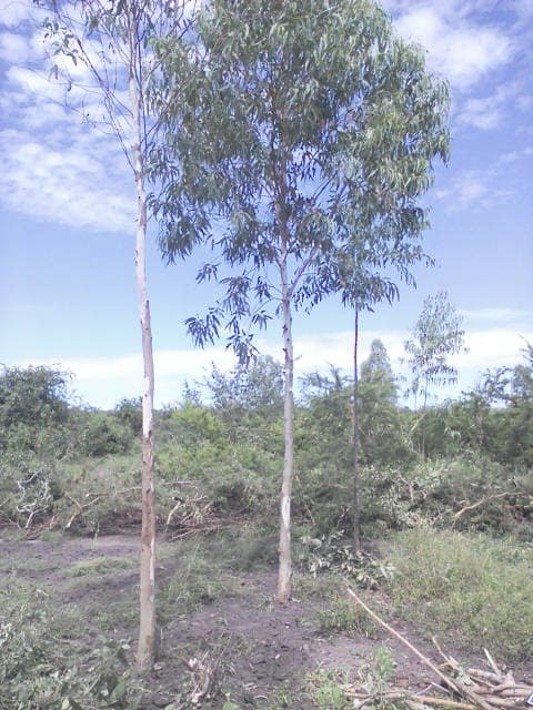 WhatsApp Image 2024-04-25 at 13.00.55_5f8d52fe